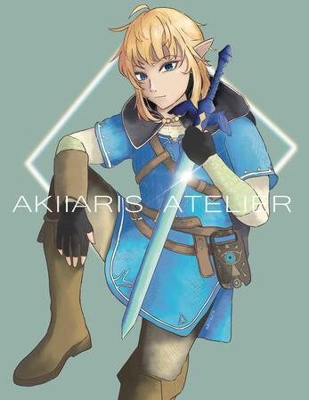 BOTW Link